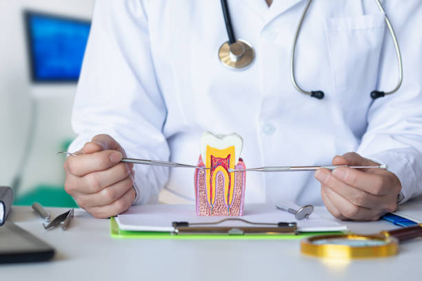Best Dental Abscess Treatment in Mcsherrystown, PA